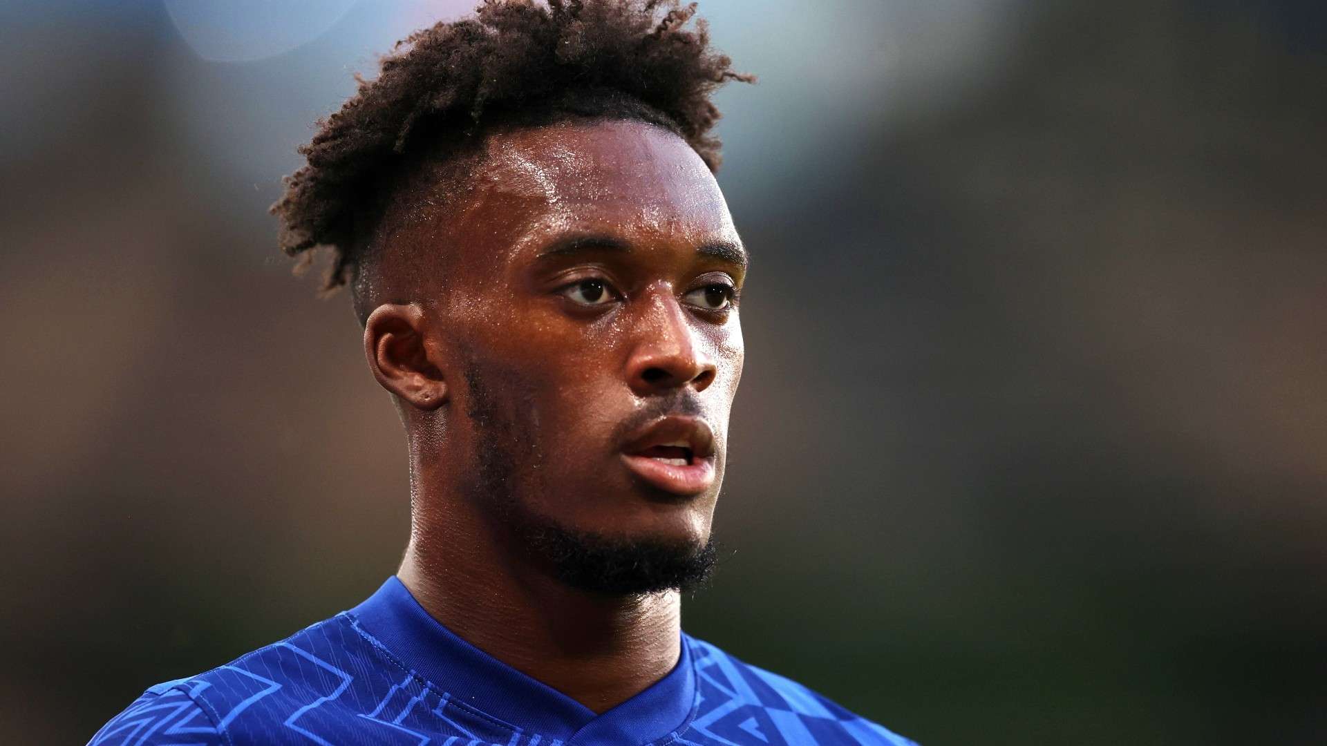 很高的水平 很高的水平